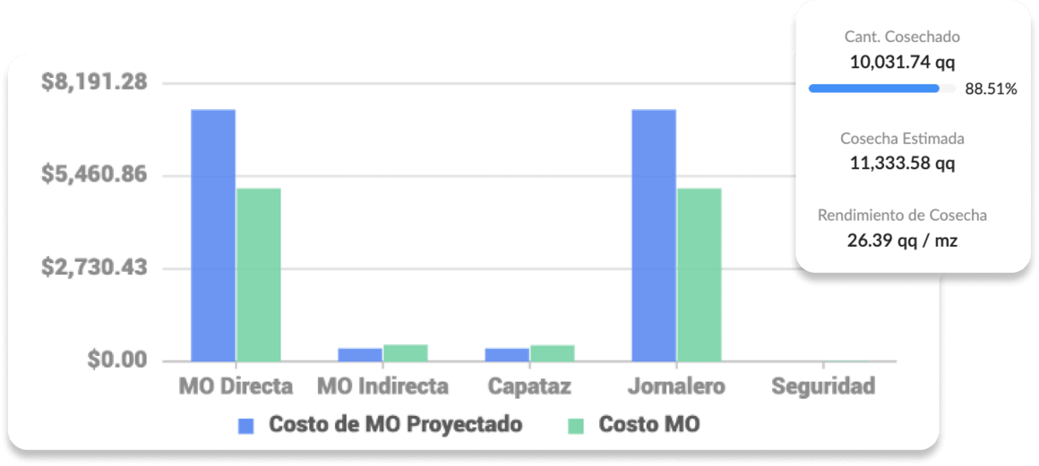 Maximiza tu rentabilidad