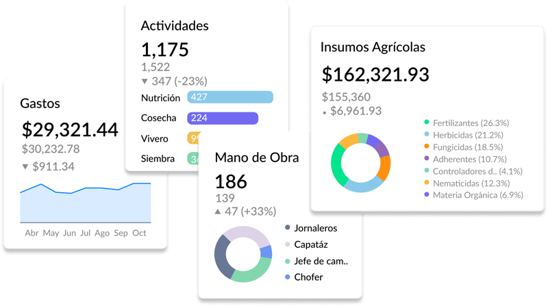 Tu información centralizada