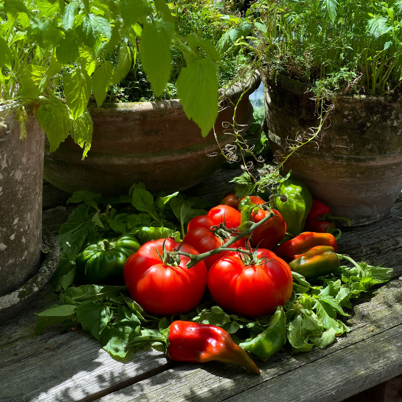 Vegetables
